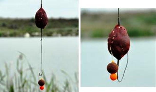 tehnici de pescuit la crap - aplicarea-pastei-pe-plumbstanga-si-aspectul-final-al-monturii-cu-carligul.jpg